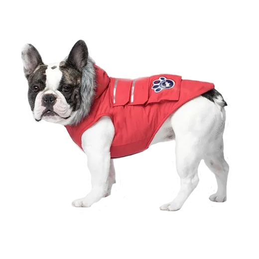 Canada Pooch Red Explorer Jacket