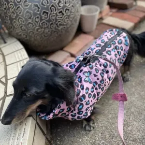 Pink Butterflies Dachshund Jacket