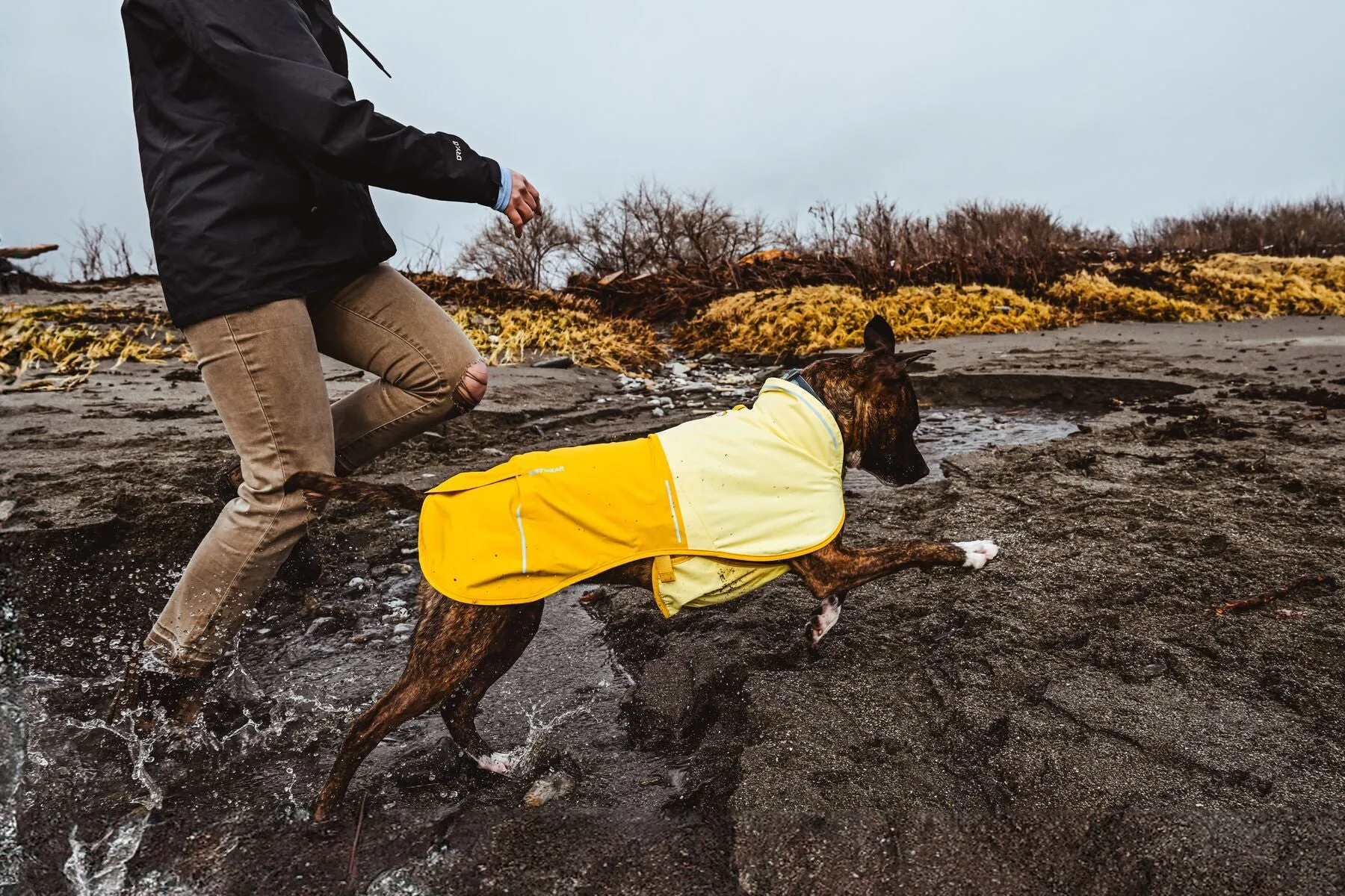 Ruffwear Sun Shower Raincoat