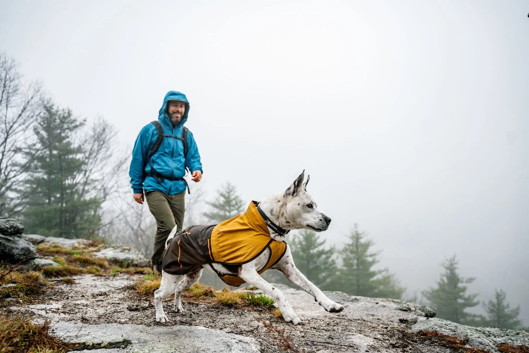 Ruffwear Sun Shower Raincoat